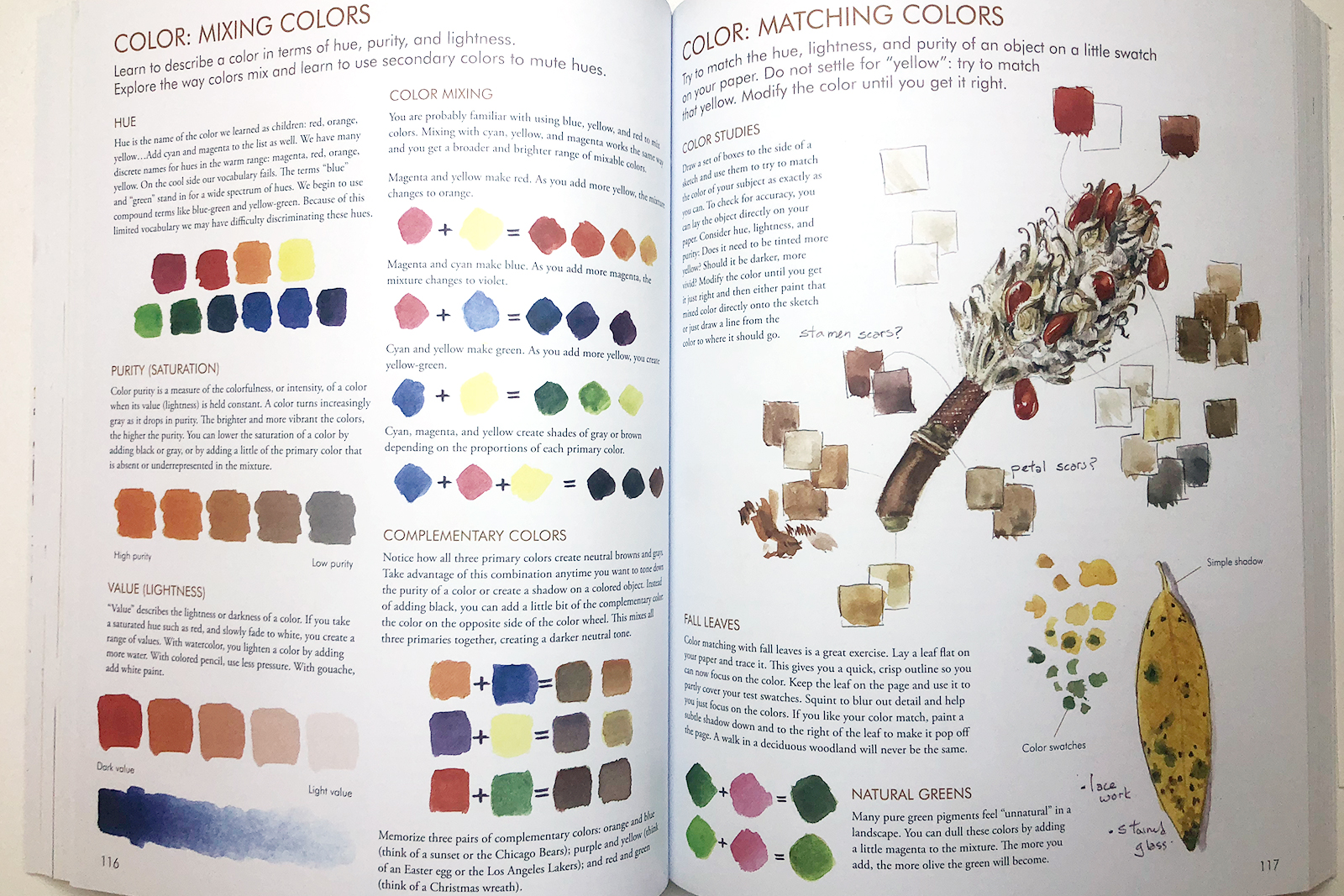 John Muir Laws The Laws Guide To Nature Drawing And Journaling